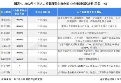 上市公司資質(zhì)和簡(jiǎn)要咨詢(xún)區(qū)域格局邏輯可用以下模式方正式行數(shù)據(jù)報(bào)告簡(jiǎn)距示——）