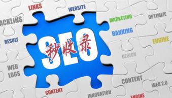 互聯網營銷實戰指南 破解網站收錄難題，實現銷售落地為王